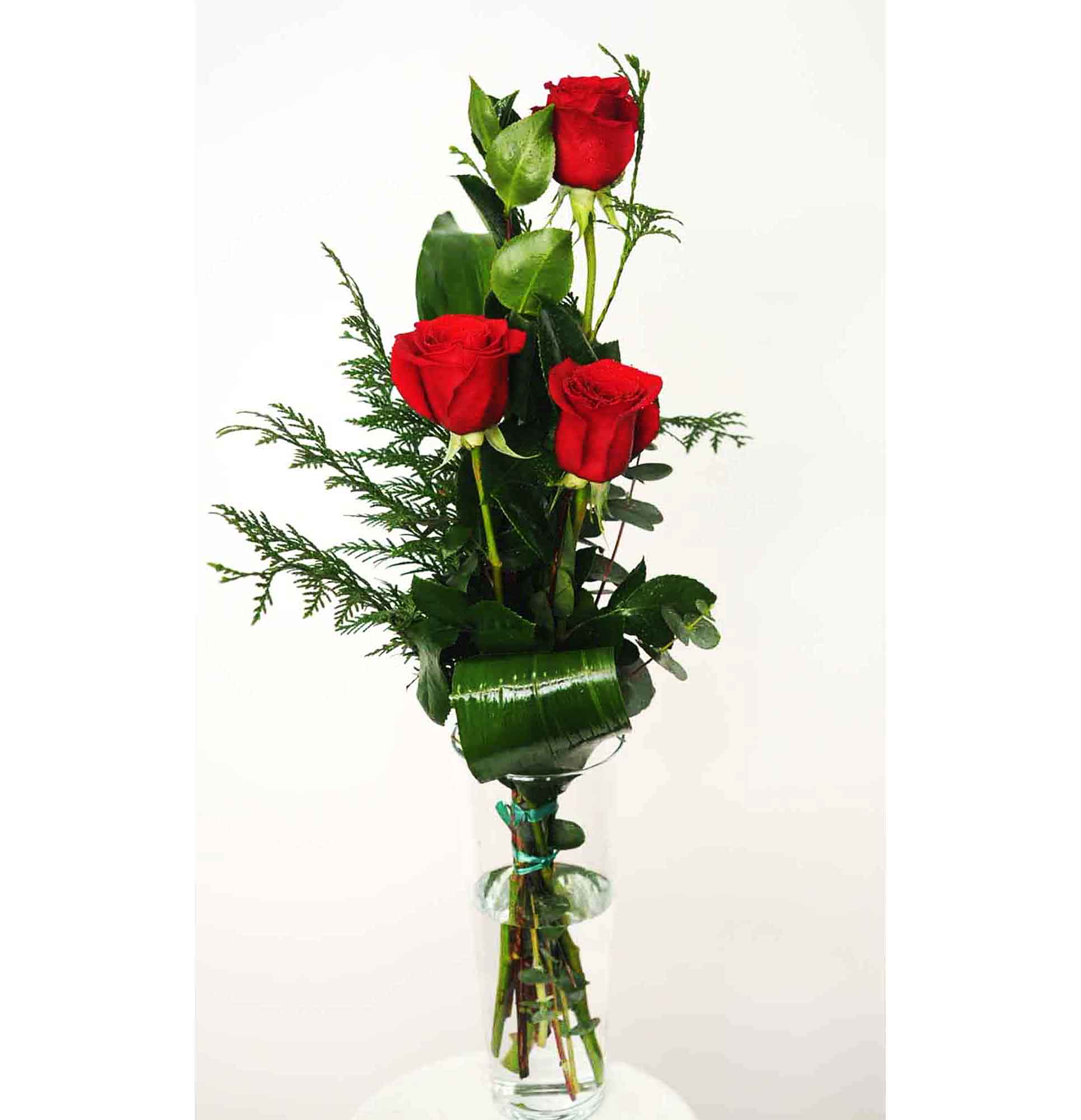 3 Rosas Rojas – Floristería Trébol